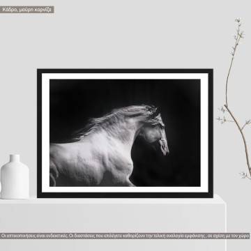 White horse, Poster