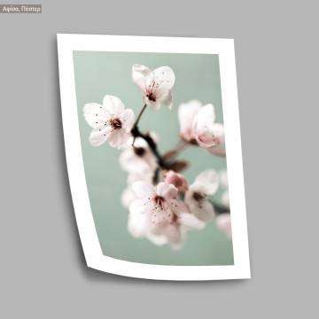 Cherry blossom on green poster 2