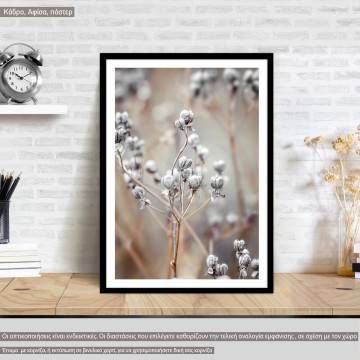 White bloom, αφίσα, κάδρο