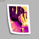 Monstera in magenta and yellow I, poster