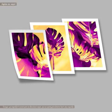 Monstera in magenta and yellow, κάδρο, μαύρη κορνίζα τρίπτυχο 2