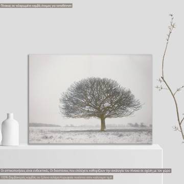 Πίνακας σε καμβά Lonely winter tree, καμβάς τελαρωμένος