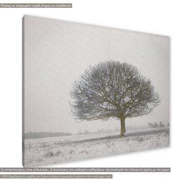 Canvas print Lonely winter tree Framed canvas View 1 2