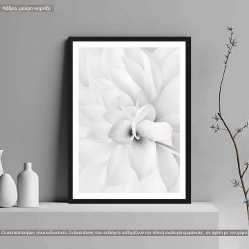 White petals I, poster