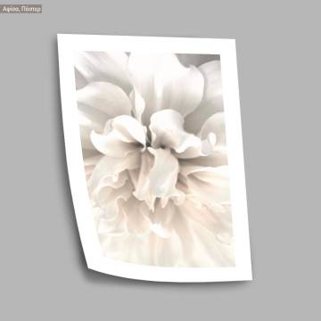 White petals II, poster 2