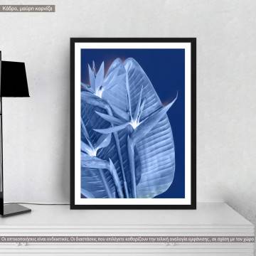 In blue hue, αφίσα, κάδρο, μαύρη κορνίζα