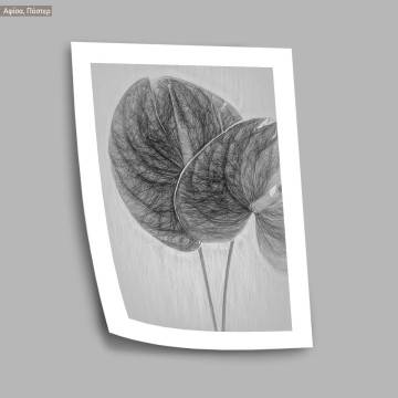 Anthurium flower sketch, poster 2