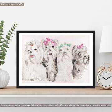 Sex and city (Canine version), Poster