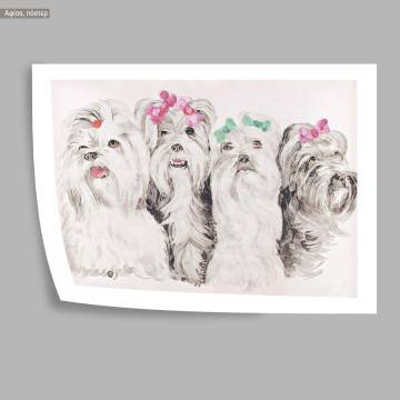 Sex and city (Canine version), Poster 2