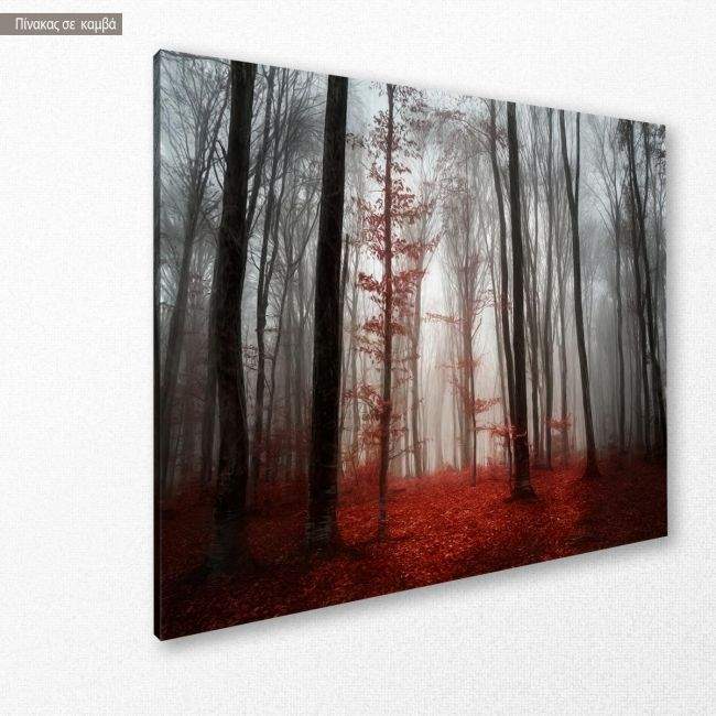 Canvas print Myst magic