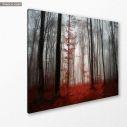 Canvas print Myst magic