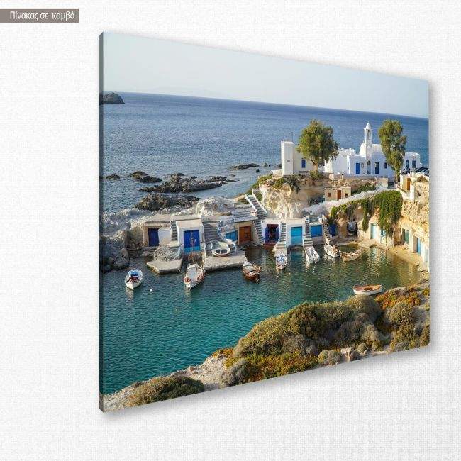 Canvas print Mandrakia