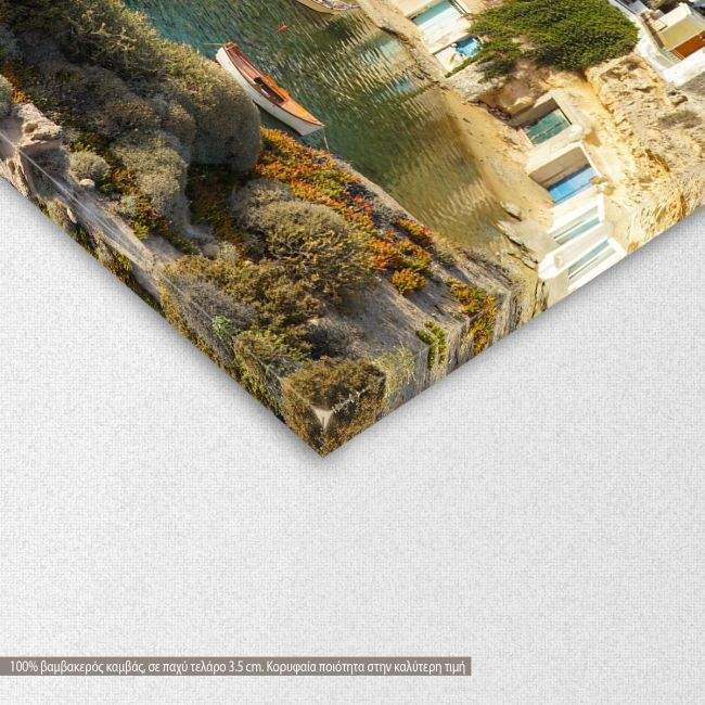 Canvas print Mandrakia