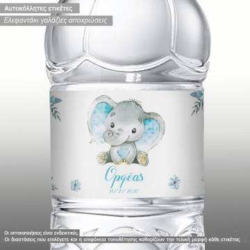 Sticker label Elephant lowers frame