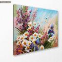 Canvas print Daisies