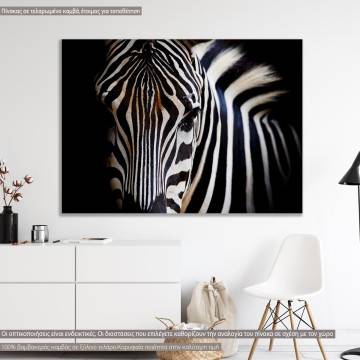 Πίνακας σε καμβά Zebra closeup