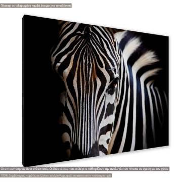 Canvas print Zebra closeup Framed canvas View 1 2
