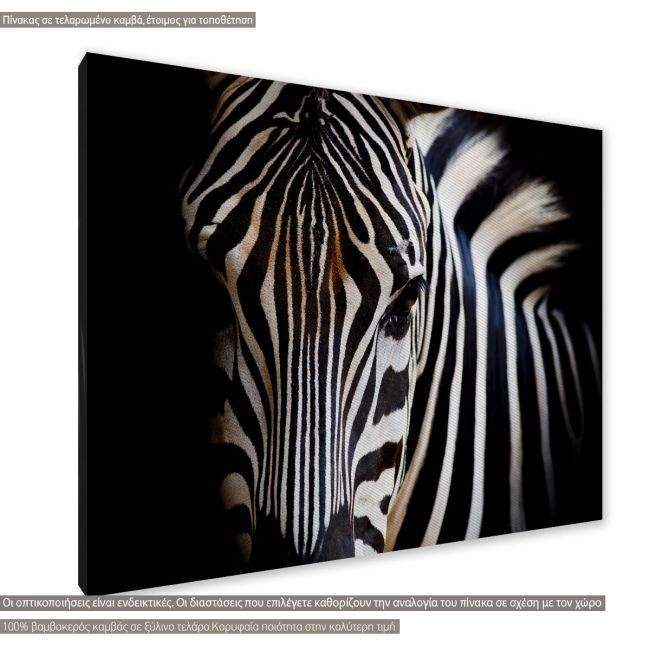 Πίνακας σε καμβά Zebra closeup, κοντινό