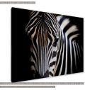 Πίνακας σε καμβά Zebra closeup, κοντινό