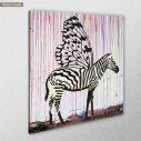 Canvas print Zebra butterfly, square