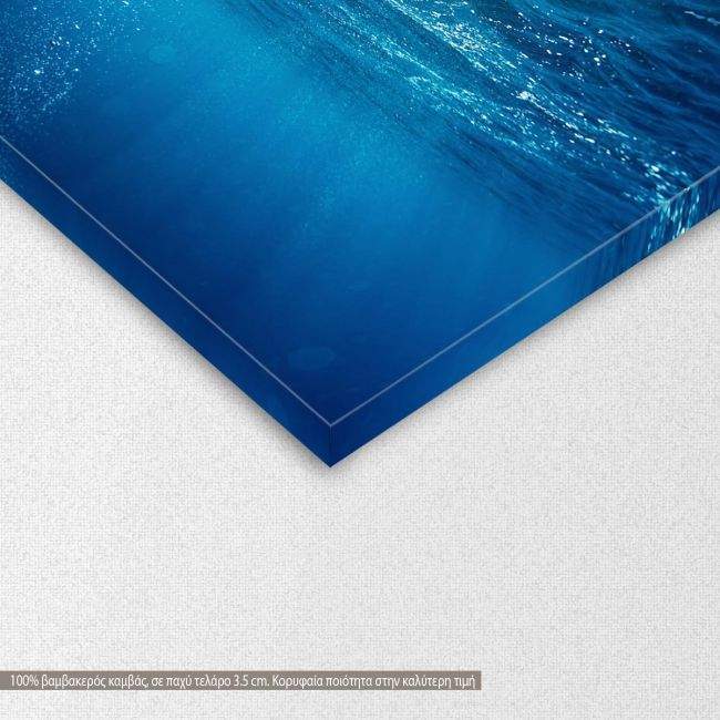 Canvas print Blue sea