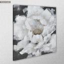 Canvas print White bloom