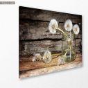 Πίνακας σε καμβά Πικραλίδες, White dandelions, κοντινό