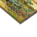Canvas print Garden at Arles, Vincent van Gogh