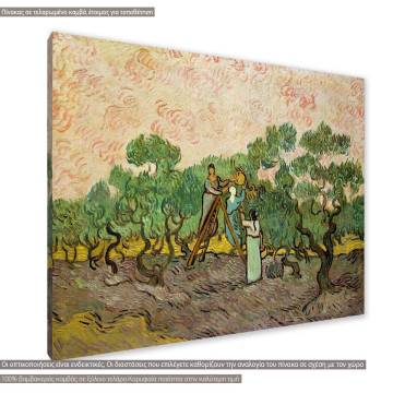 Canvas print The olive pickers Vincent van Gogh Framed canvas View 1 2