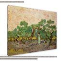 Canvas print The olive pickers, Vincent van Gogh