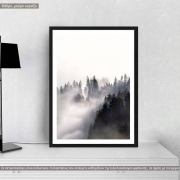 Forest in the fog, poster