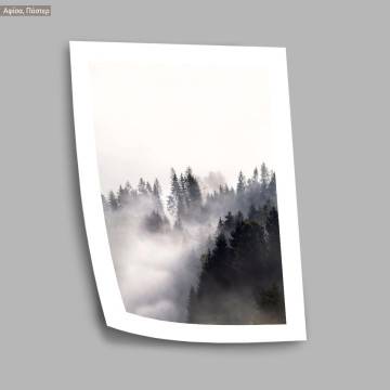 Forest in the fog, poster 2