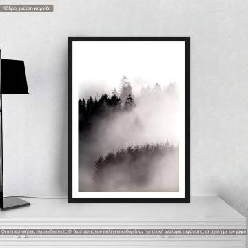 Forest in the fog I, poster