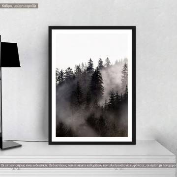 Δάσος στην ομίχλη II, κάδρο, μαύρη κορνίζα