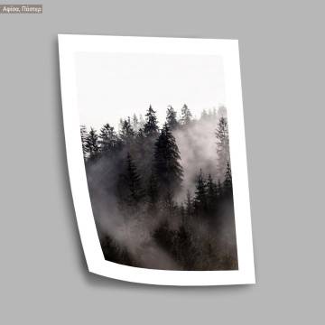 Forest in the fog II, poster 2