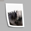 Forest in the fog II, poster