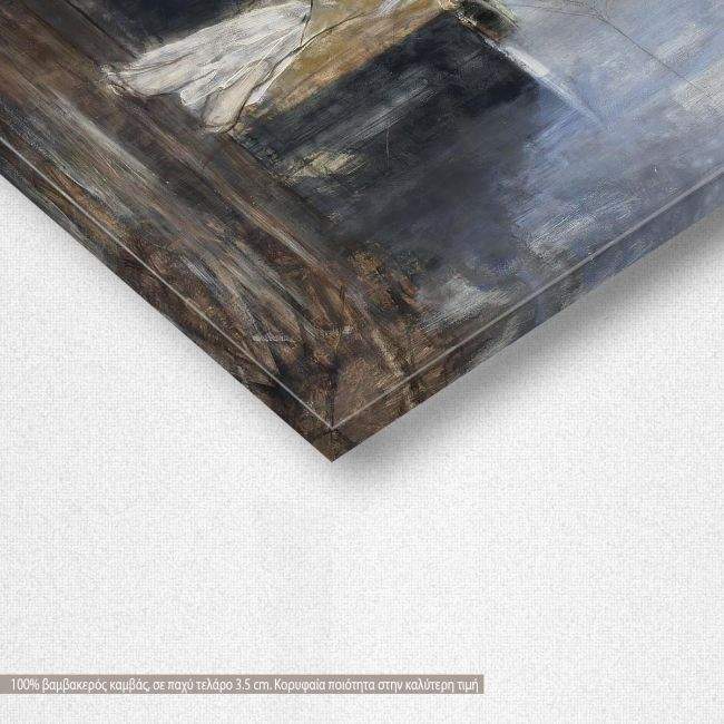 Canvas print Spider, Gizis