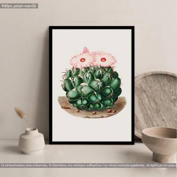 Cactus, poster