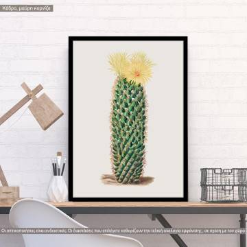Cactus I, κάδρο, μαύρη κορνίζα