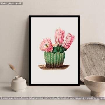 Cactus II, κάδρο, μαύρη κορνίζα