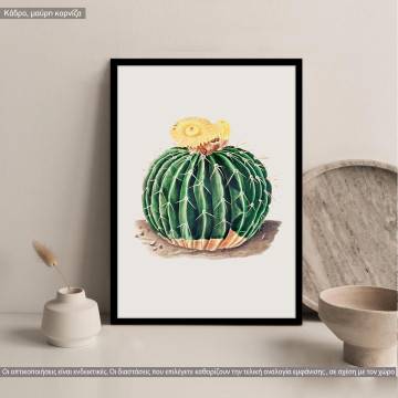 Cactus III, κάδρο, μαύρη κορνίζα